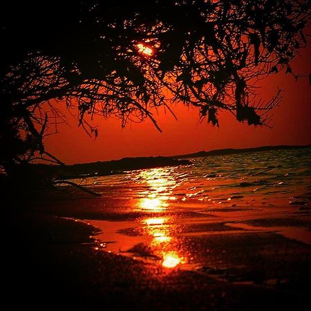 Fulhadhoo Inn ภายนอก รูปภาพ