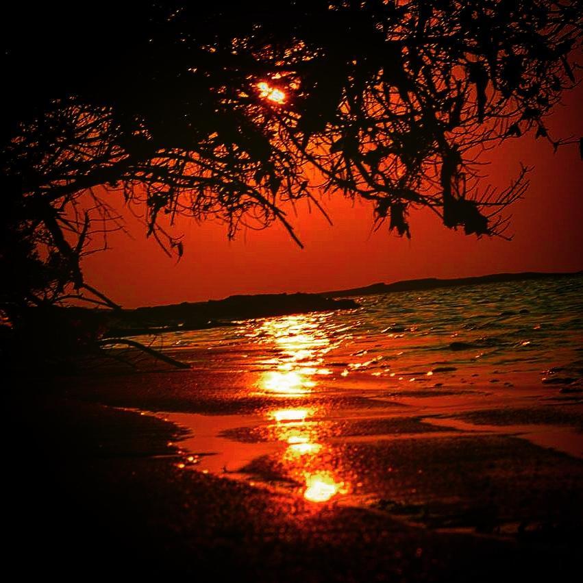 Fulhadhoo Inn ภายนอก รูปภาพ